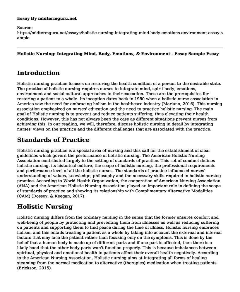 Holistic Nursing: Integrating Mind, Body, Emotions, & Environment - Essay Sample