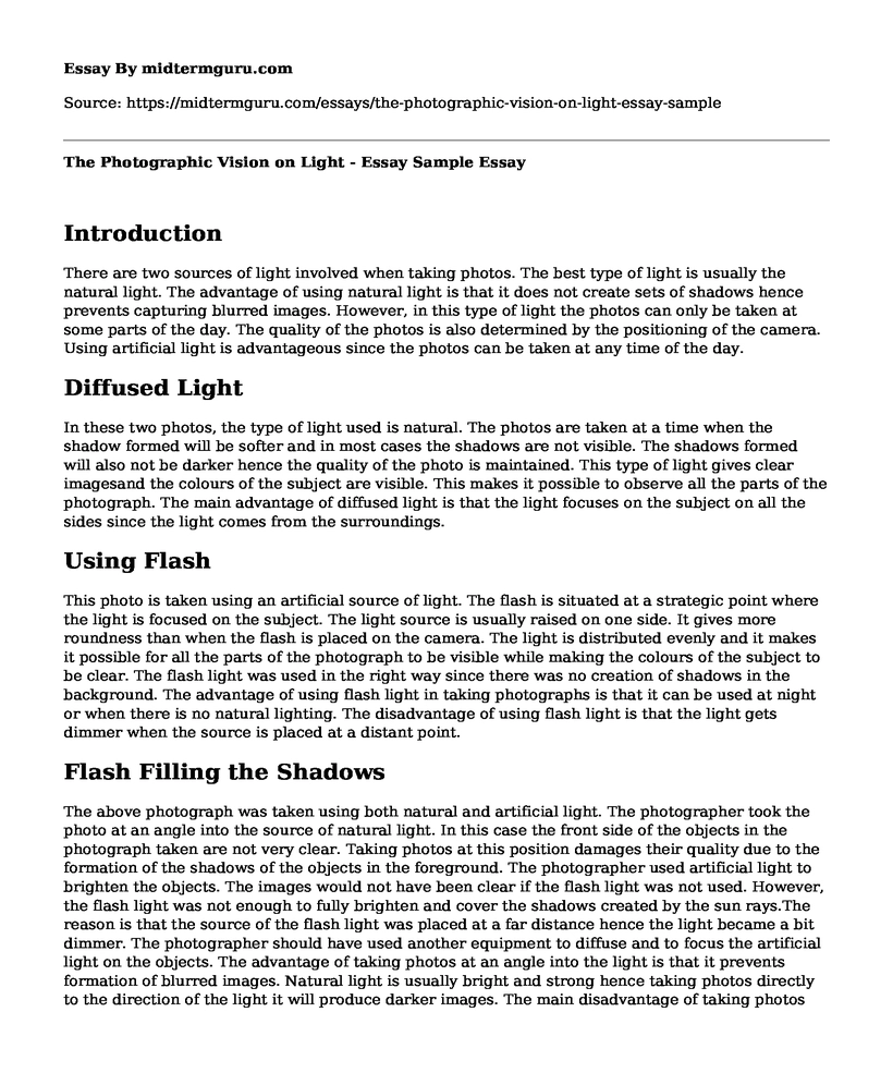 The Photographic Vision on Light - Essay Sample