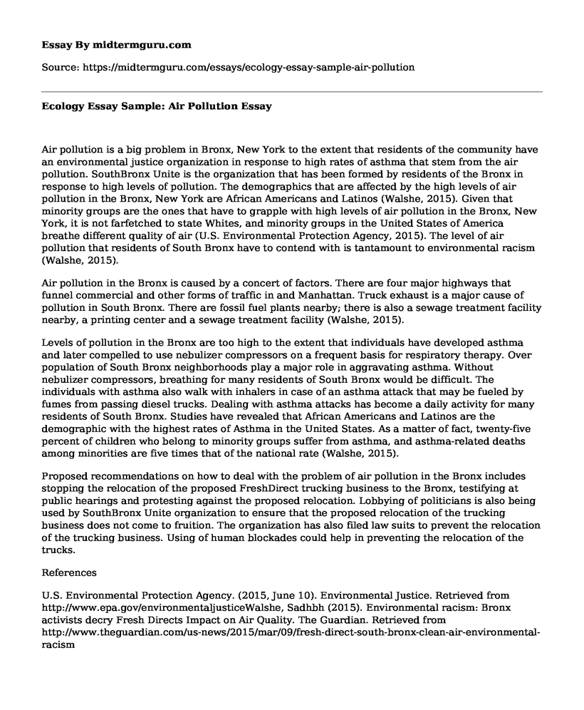 Ecology Essay Sample: Air Pollution