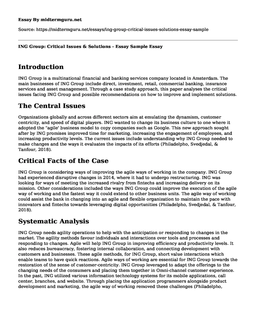 ING Group: Critical Issues & Solutions - Essay Sample