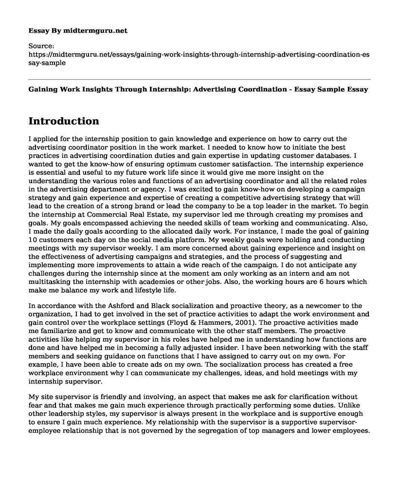 Gaining Work Insights Through Internship: Advertising Coordination - Essay Sample