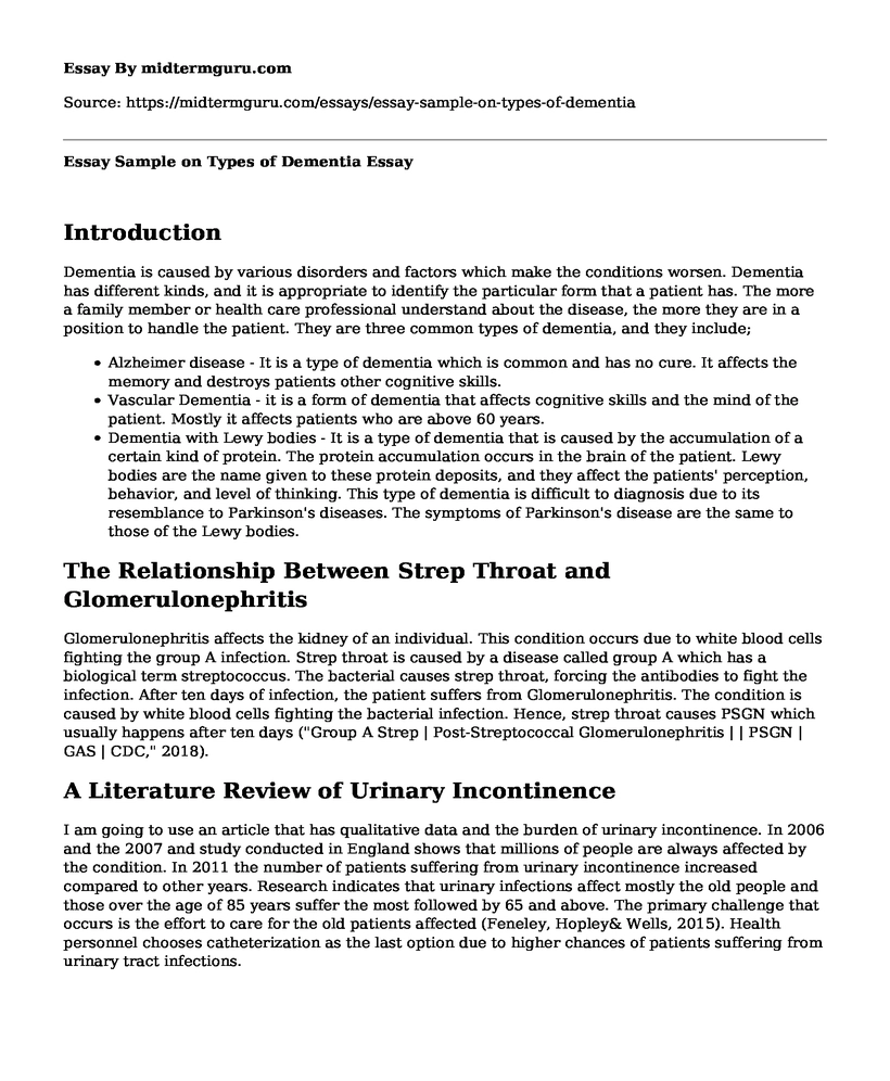 Essay Sample on Types of Dementia