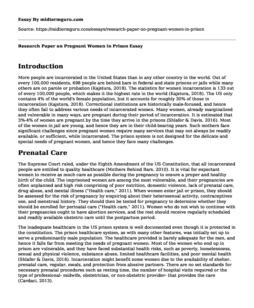 Research Paper on Pregnant Women in Prison