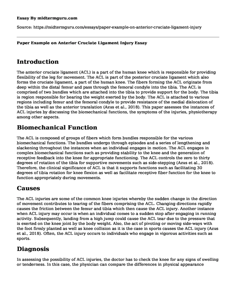 Paper Example on Anterior Cruciate Ligament Injury