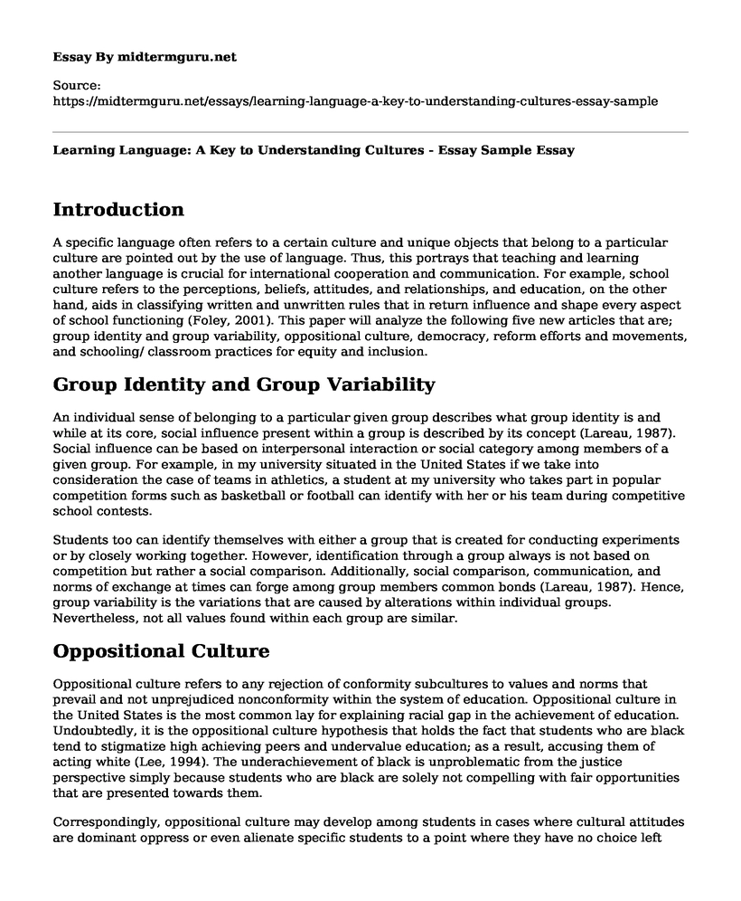 Learning Language: A Key to Understanding Cultures - Essay Sample