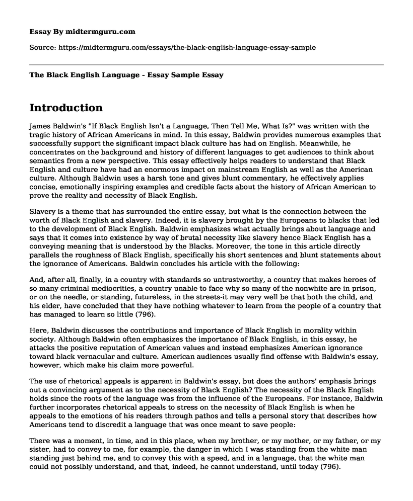 The Black English Language - Essay Sample