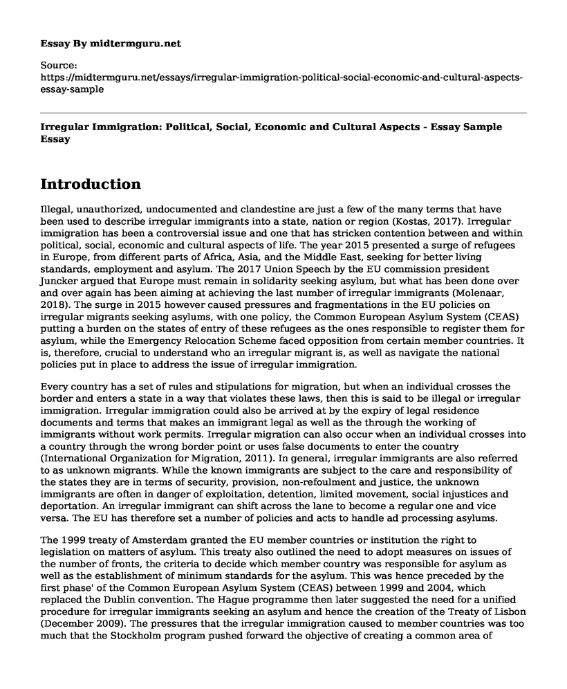 Irregular Immigration: Political, Social, Economic and Cultural Aspects - Essay Sample
