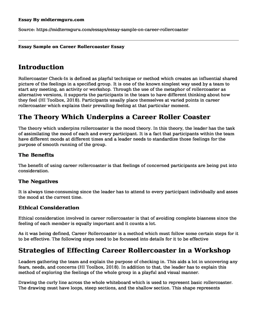 Essay Sample on Career Rollercoaster