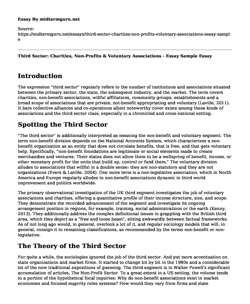 Third Sector: Charities, Non-Profits & Voluntary Associations - Essay Sample