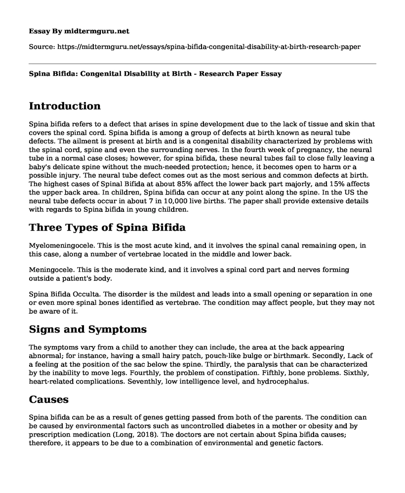 Spina Bifida: Congenital Disability at Birth - Research Paper