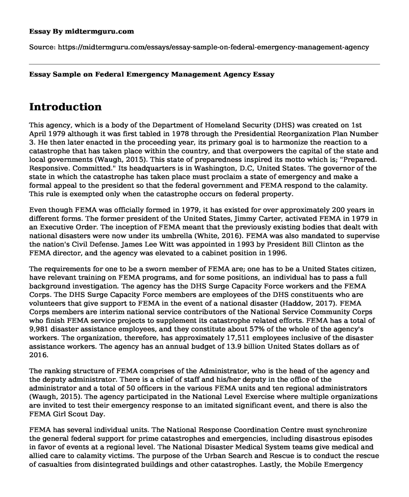 Essay Sample on Federal Emergency Management Agency