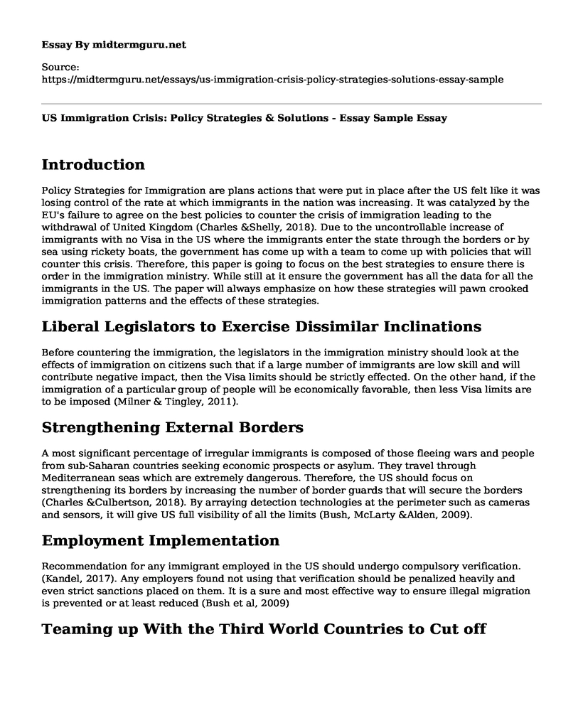 US Immigration Crisis: Policy Strategies & Solutions - Essay Sample